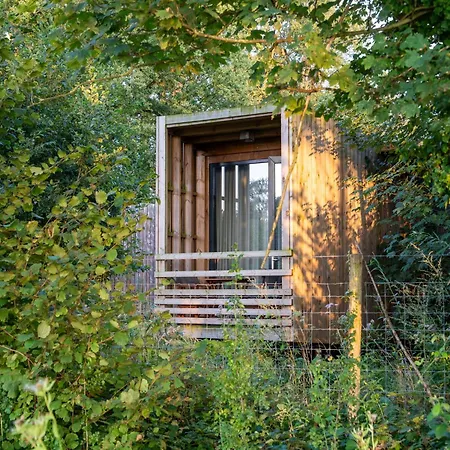 Woodland Serenity Retreat 펜션 *