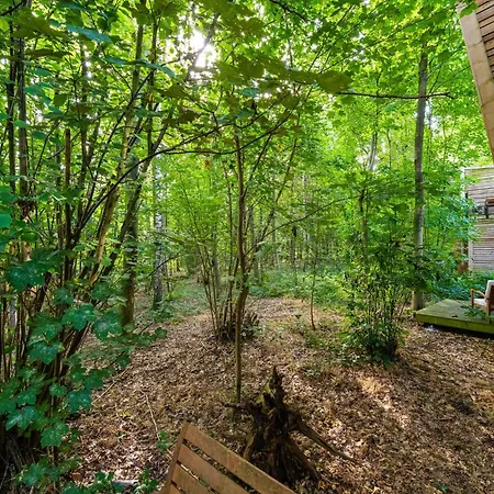 Woodland Serenity Retreat 펜션 Antoing
